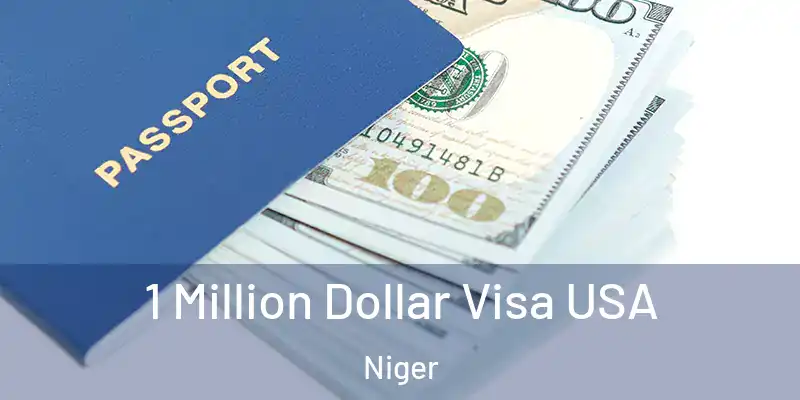  1 Million Dollar Visa USA Niger